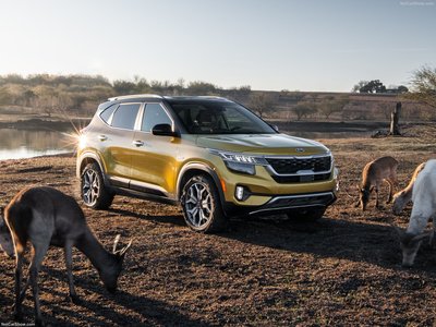 Kia Seltos 2021 puzzle 1408839