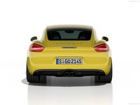Porsche Cayman 2014 stickers 1414288