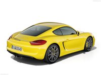 Porsche Cayman 2014 Poster 1414292