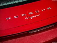 Porsche Cayman 2014 stickers 1414313