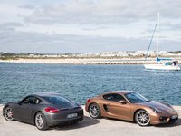 Porsche Cayman 2014 Mouse Pad 1414326