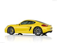 Porsche Cayman 2014 Poster 1414329