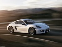 Porsche Cayman 2014 puzzle 1414340