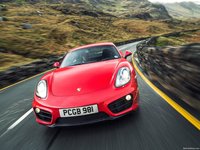 Porsche Cayman 2014 puzzle 1414344