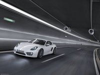 Porsche Cayman 2014 Poster 1414356