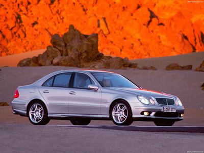 Mercedes-Benz E55 AMG 2003 pillow