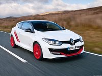 Renault Megane RS 275 Trophy-R 2015 stickers 1418276