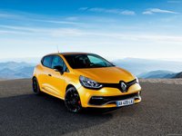 Renault Clio RS 200 2013 stickers 1419708