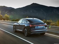 Audi e-tron Sportback 2021 stickers 1420874