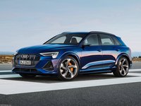 Audi e-tron S 2021 stickers 1425728