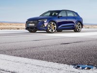 Audi e-tron S 2021 hoodie #1425741