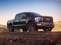 Ford F-150 2021 Poster 1425824