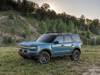 Ford Bronco Sport 2021 pillow