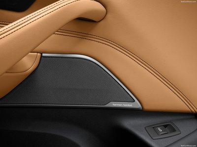 BMW 5-Series 2021 pillow