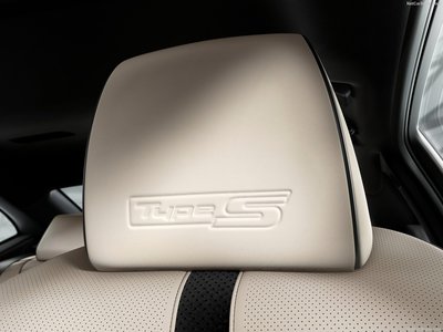 Acura TLX 2021 pillow