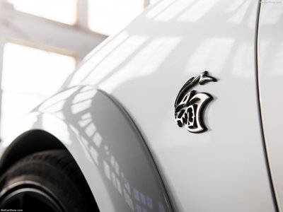 Dodge Charger SRT Hellcat Redeye 2021 stickers 1428364