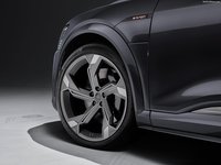Audi e-tron S Sportback 2021 stickers 1429968