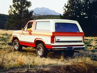 Ford Bronco 1980 stickers 1430078