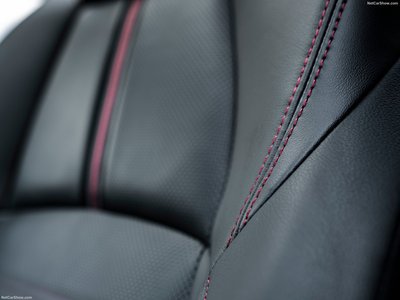 Toyota RAV4 Plug-in Hybrid 2021 pillow