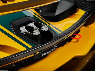 McLaren Senna GTR LM 2020 Tank Top