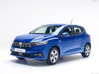 Dacia Sandero 2021 stickers 1439953