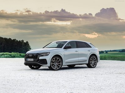 Audi Q8 TFSI e quattro 2021 poster