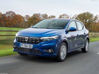 Dacia Sandero 2021 Poster 1450021