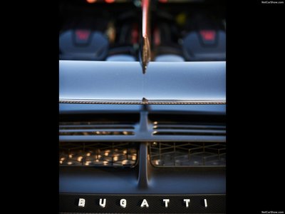 Bugatti Divo Lady Bug 2020 Poster 1453604