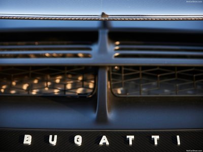 Bugatti Divo Lady Bug 2020 Poster 1453609