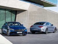 Mercedes-Benz CLS53 AMG 2022 puzzle 1457792