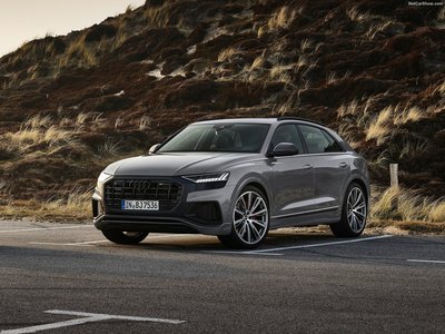 Audi Q8 competition plus 2022 wooden framed poster