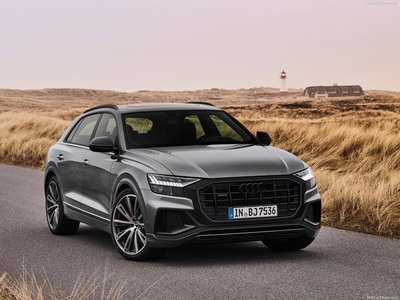 Audi Q8 competition plus 2022 stickers 1462458