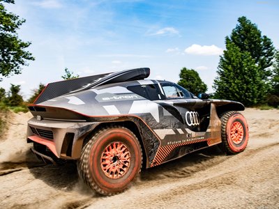 Audi RS Q e-tron Dakar Rally 2022 pillow