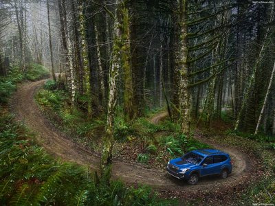 Subaru Forester Wilderness 2022 Poster 1473330