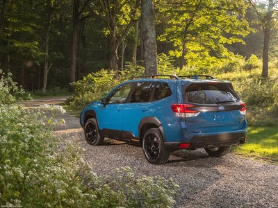 Subaru Forester Wilderness 2022 stickers 1473331