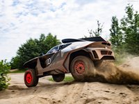 Audi RS Q e-tron Dakar Rally 2022 hoodie #1475546