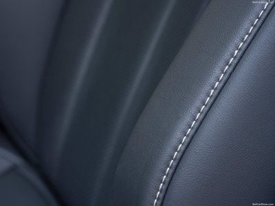 Lexus ES 300h [EU] 2022 pillow