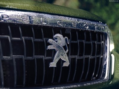 Peugeot Landtrek 2021 stickers 1482238