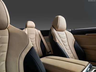 BMW 8-Series Convertible 2023 pillow