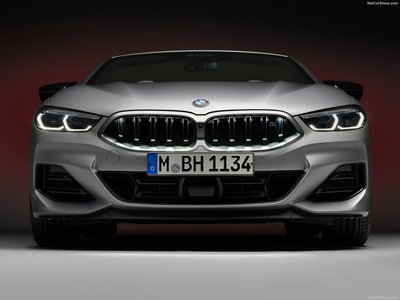 BMW 8-Series Convertible 2023 wooden framed poster