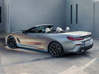 BMW 8-Series Convertible 2023 puzzle 1493477