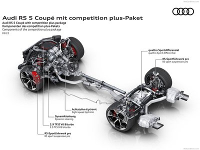 Audi RS5 Coupe competition plus 2023 wooden framed poster