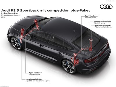 Audi RS5 Sportback competition plus 2023 wooden framed poster