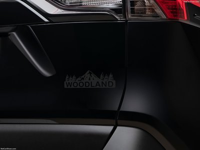 Toyota RAV4 Hybrid Woodland Edition 2023 wooden framed poster