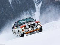 Audi quattro A2 Rallye 1984 stickers 1513735
