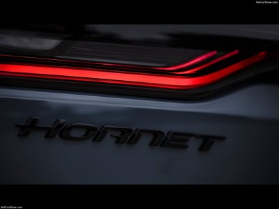 Dodge Hornet 2023 wooden framed poster