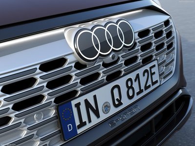 Audi Q8 Sportback e-tron quattro 2024 stickers 1538393
