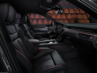 Audi Q8 e-tron quattro 2024 stickers 1538565