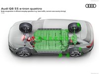 Audi Q8 e-tron quattro 2024 stickers 1538570