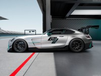 Mercedes-Benz AMG GT2 2023 stickers 1540993
